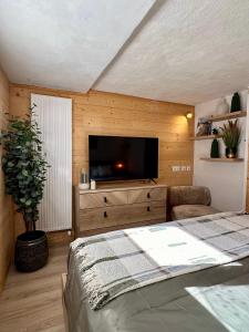 Μια τηλεόραση ή/και κέντρο ψυχαγωγίας στο Appartement l'edelweiss