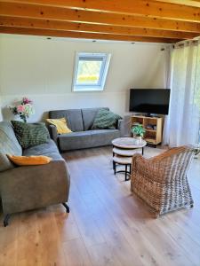 a living room with a couch and a tv at Torenvalk I Genieten nabij Bos in Zwiggelte