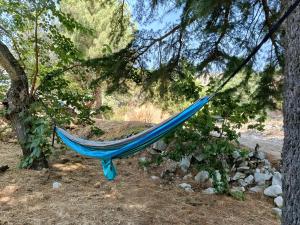 Gallery image of Espacio Natal in Valdemanco +19 photos