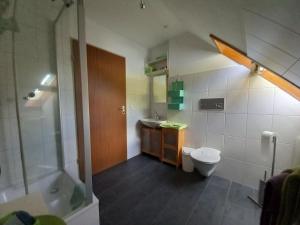 a bathroom with a toilet and a sink and a shower at Ferienwohnung Faller in Elzach