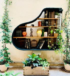 a shelf on a wall with plants and books at Baloo Hostel in Athens