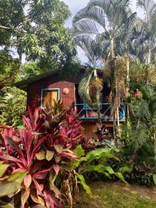 a house in the middle of a garden at La maison in Gandoca
