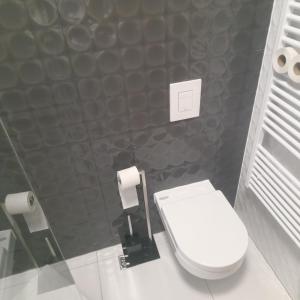 baño con aseo y 2 rollos de papel higiénico en Sunset view, en Veliki Humac