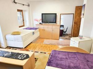 サラエボにあるApartmam AYANの薄型テレビとソファのあるリビングルーム +4枚の写真
