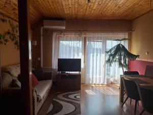 a living room with a couch and a large window at Bagoly Apartman in Nemesvámos