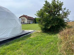 a tent in a field next to a tree at Glamp Ojcowska in Jerzmanowice
