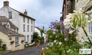 a street in a small village with flowers at The Bird's Nest - Free Parking! in Boscastle