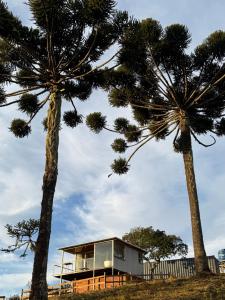 a house on the beach between two palm trees at Cabana Teixeira in Cunha