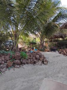 a beach with palm trees and a pile of rocks at Evergreen Eco Lodge Retreat in Tujering +47 photos