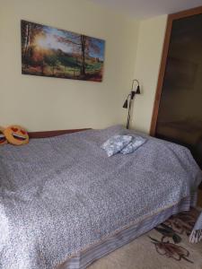 a bedroom with a bed with a lamp on it at Fely Room in Petroşani