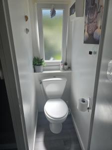 a small bathroom with a toilet and a window at Charmant Mobil home avec piscine privative in Gémenos +7 photos