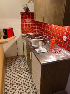 a small kitchen with a sink and red tiles at Goliath 44 & 45 in Leukerbad +4 photos