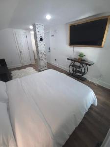 Μια τηλεόραση ή/και κέντρο ψυχαγωγίας στο Zora's Sojourn