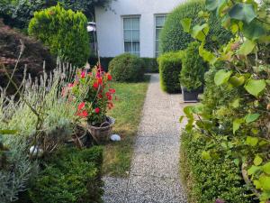 a garden with plants and flowers and a sidewalk at Düsseldorf Messe -Apartment Milan in Düsseldorf