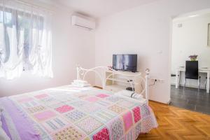TV a/nebo společenská místnost v ubytování Apartments Rose