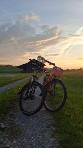two bikes parked on a gravel road in a field at Hengeler's hof in Altusried