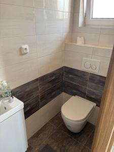 Poříčí nad SázavouにあるCountryside Apartments 252のトイレと洗面台付きのバスルーム