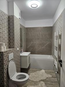a bathroom with a toilet and a sink and a tub at Apartament Rosenau in Râşnov
