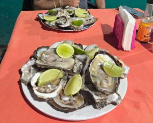 two plates of oysters with lime slices on a table at AC Rooms-Piscina-Playa El Tunco in La Libertad