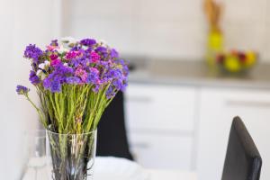 Fotografie z fotogalerie ubytování Apartments Rose v destinaci Krk