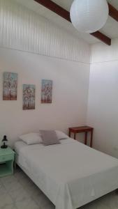 Gallery image of Hotel Exotic Lodge in Puerto Viejo