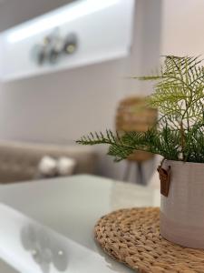 a plant in a basket sitting on a bathroom counter at "Calm Joy & J" - Family in Ermoupoli