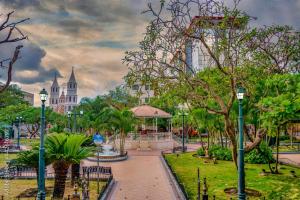 a park with palm trees and a building in the background at SUIT PortoCentro1 in Portoviejo