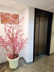 a white vase with a tree in a hallway at Hotel Kingite in Sao Paulo +3 photos
