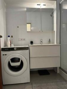 a kitchen with a washing machine and a sink at Rooftop 1 bed sleeps 4 in Luxembourg