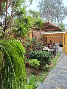 a garden with people sitting at tables and plants at Villas Del Sol Bed & Breakfast in Lima