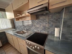 a kitchen with a sink and a stove at Bliss Home in Gheorgheni