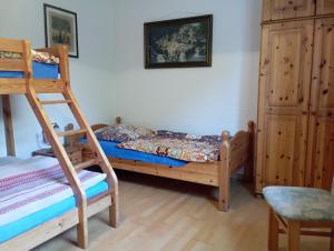 a bedroom with a bunk bed and a ladder at Schöne Fewo für Naturliebhaber in Jabel
