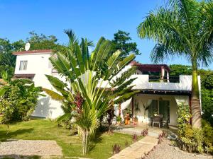 a house with a palm tree in front of it at Villa KAMBUSA in Las Galeras