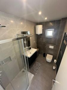 a bathroom with a shower and a sink and a toilet at Eureka in Crikvenica