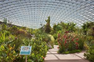 a greenhouse filled with lots of plants and flowers at Threshing Barn in Llansawel