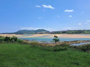 a view of a body of water with a beach at Oasis de Sal y Pradera in Miengo