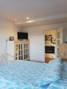 a bedroom with a blue bed and a television at Mar, playas y montañas in Miengo