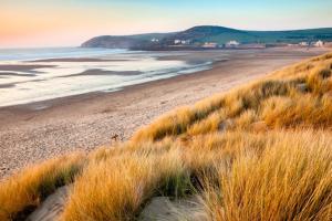 a beach with tall grass next to the ocean at 2 Bed in Croyde oc-sandc in Croyde