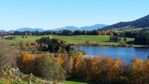 a lake in the middle of a valley with trees at Ferienwohnung Ober dr Kuche, Ferienhof Lochbihler, WertachAllgäu in Wertach