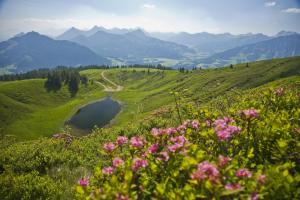 a view of a valley with a lake and flowers at Ferienwohnung Ober dr Kuche, Ferienhof Lochbihler, WertachAllgäu in Wertach
