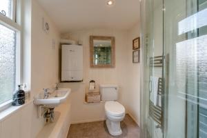ein Badezimmer mit Toilette, Waschbecken und Dusche in der Unterkunft Annies Cottage - Appledore in Appledore