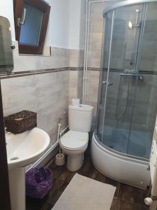 a bathroom with a shower and a toilet and a sink at Casa Sofia Bucovina in Ciumîrna +53 photos