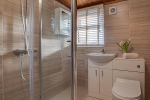 ein Badezimmer mit Dusche, Toilette und Waschbecken in der Unterkunft Birch Lodge in Thornton Watlass + 18 Fotos