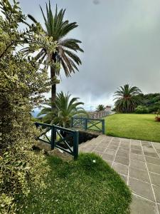 Un banco azul en un parque con una palmera. en Profithome - La Palma Sunset Villa, en Puntallana