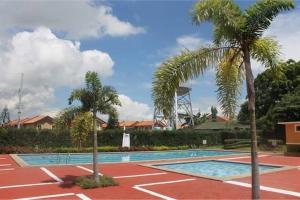 a swimming pool with two palm trees next to it at Casa De Hombre in Santo Tomas