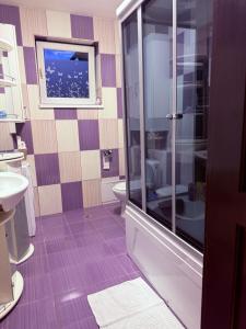 a bathroom with a toilet and a glass shower at Alisia House in Sibiu +40 photos