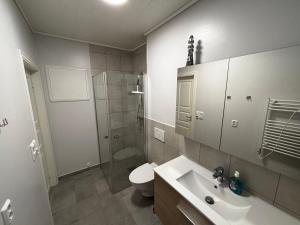 a bathroom with a toilet and a sink and a shower at Gemütliche Ferienwohnung am Fjord  +8 photos