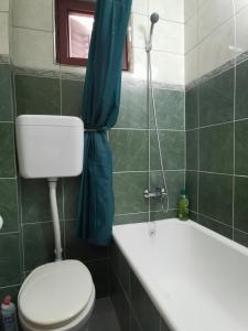 a bathroom with a toilet and a tub and a shower curtain at Apartments with panoramic terrace in Krasici