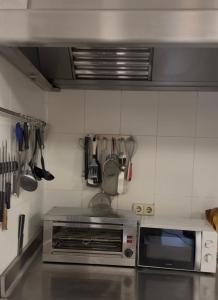 eine Küche mit Toaster und Mikrowelle in der Unterkunft Hotel Boutique Cumbres de Castilla in Mandayona