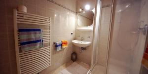 een kleine badkamer met een wastafel en een douche bij Wirthof in La Valle +7 foto's